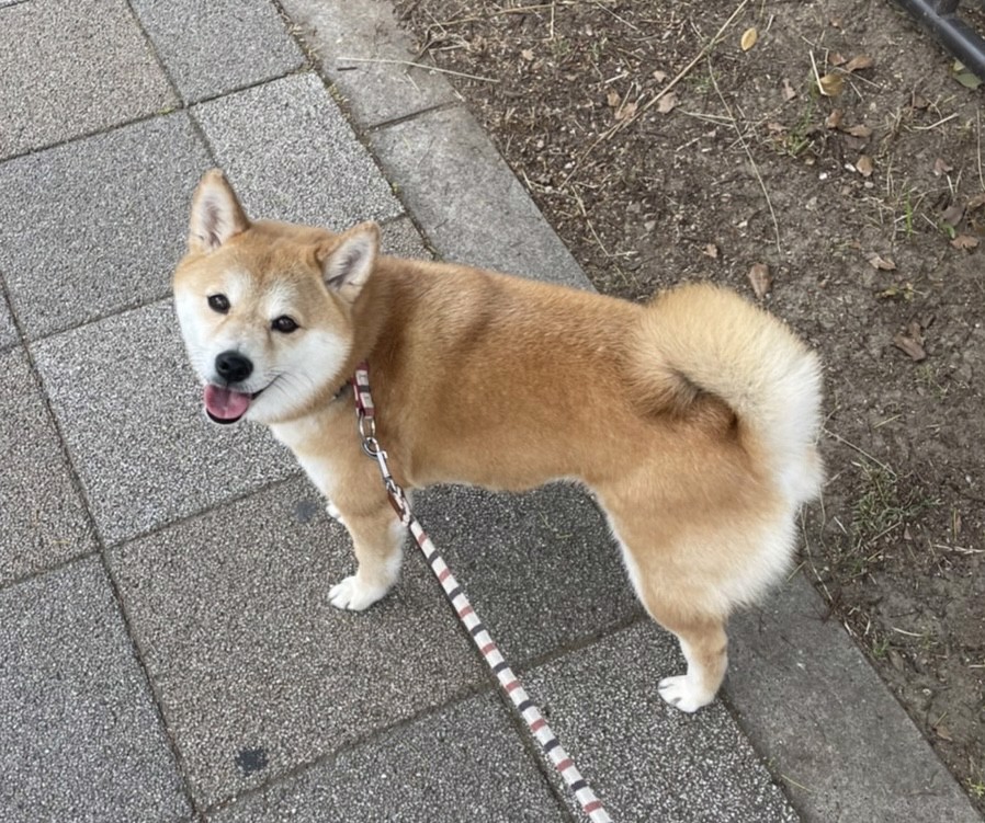 ユーザーアイコン