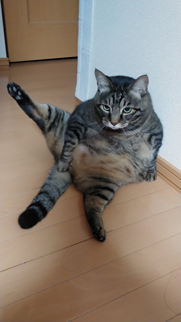 う～