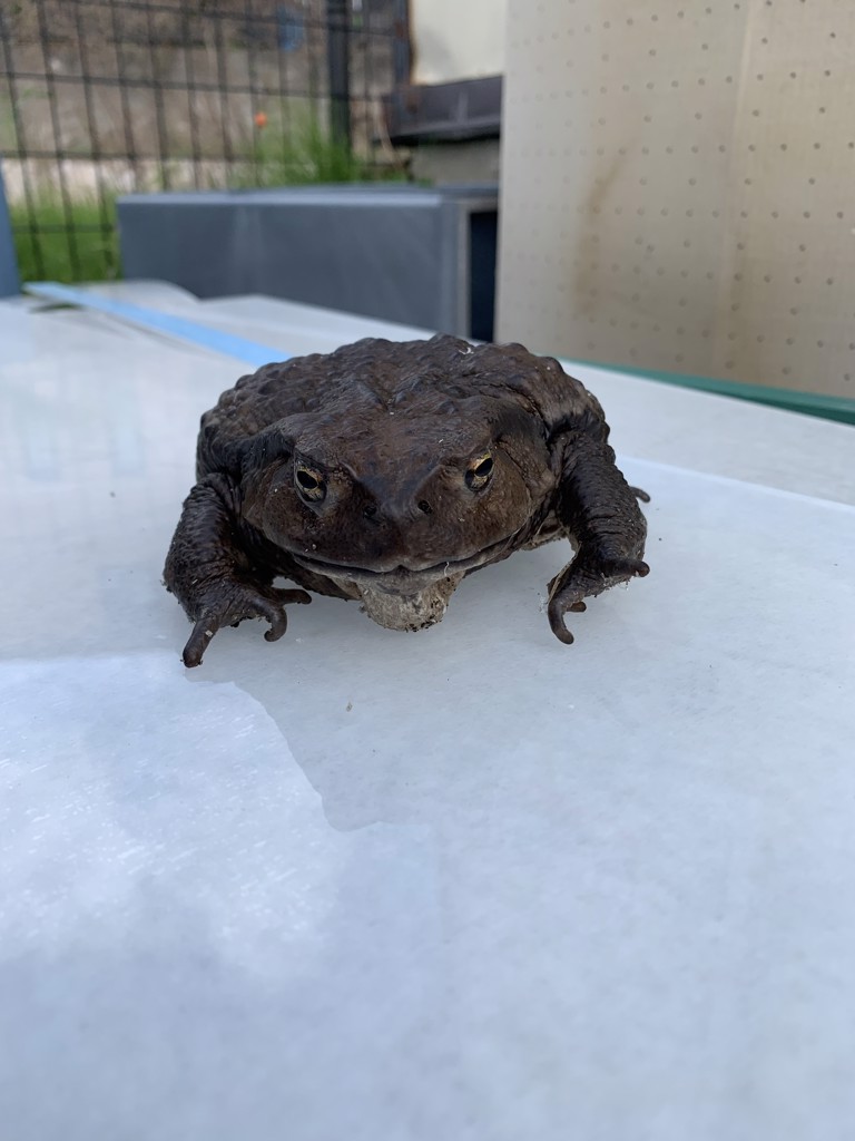 ユーザーアイコン