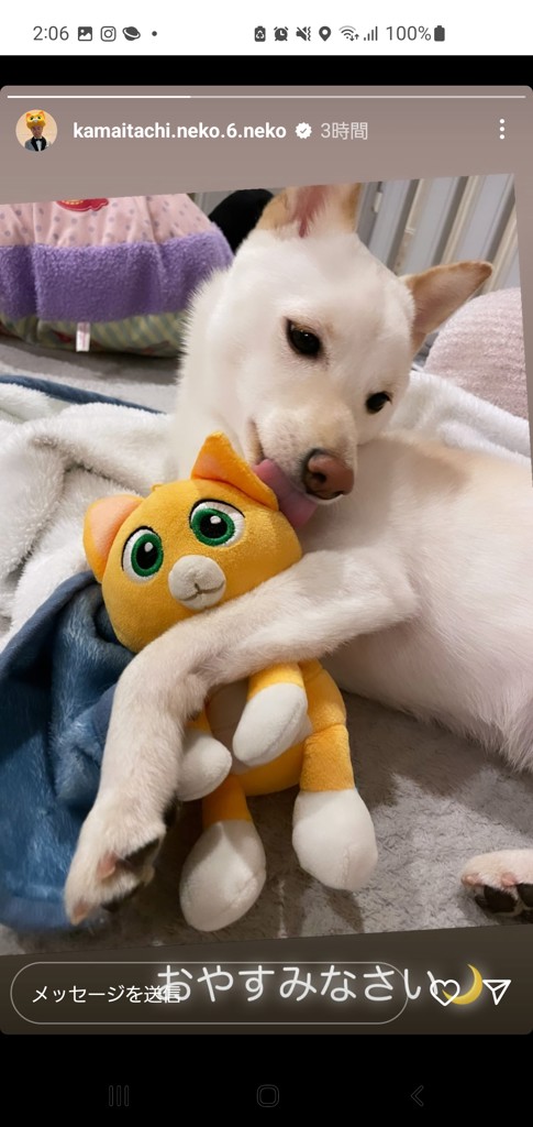ちっち