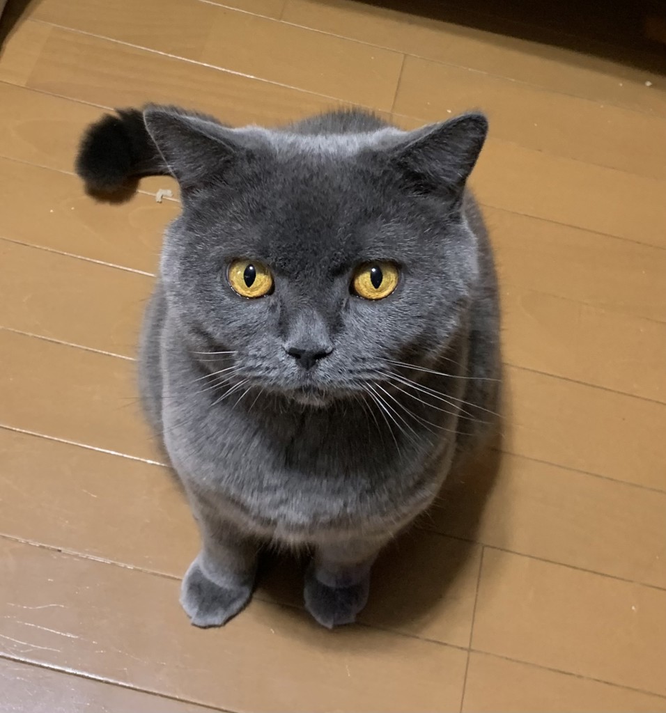 あずさ