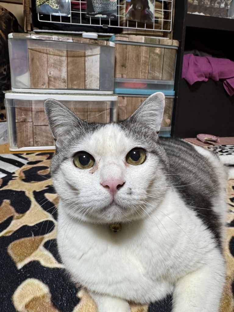 くぅー