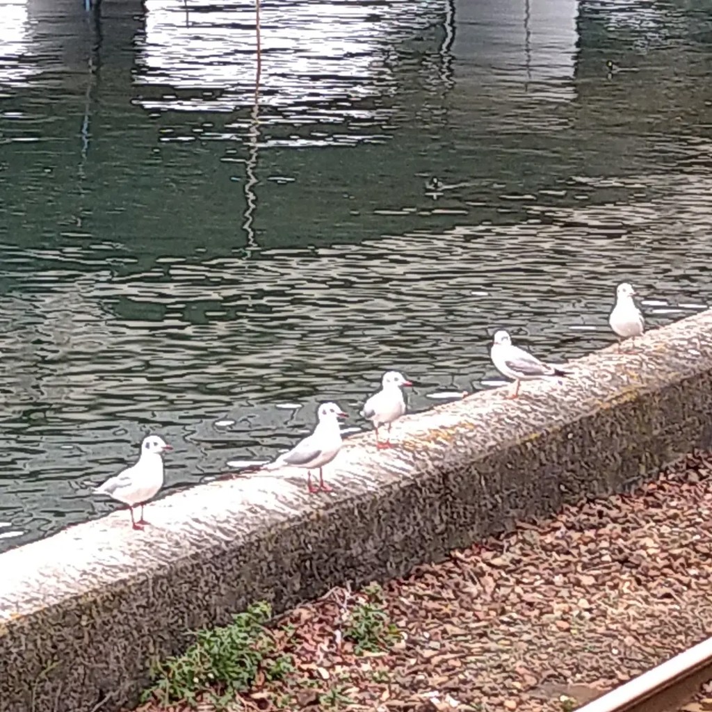 ユーザーアイコン