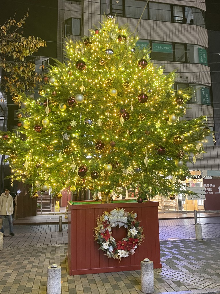まみむ