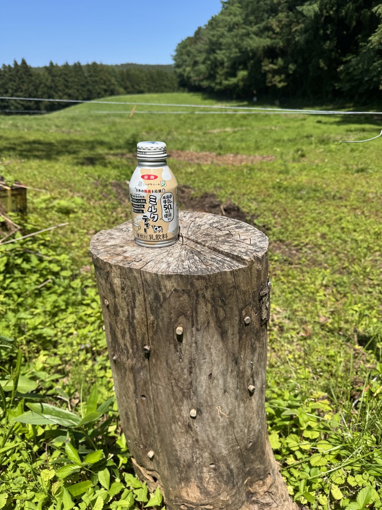 ミルクティー（北海道牛乳50％以上使用）: 酪市酪座 ～うしさんからの