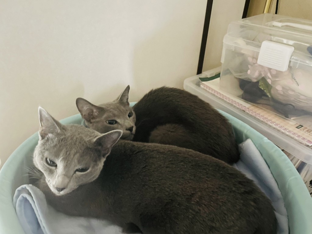 ジル&ルイのママ