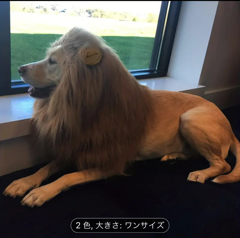 ユーザーアイコン