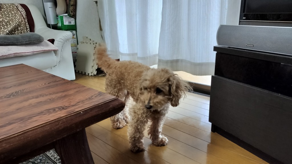 ひー