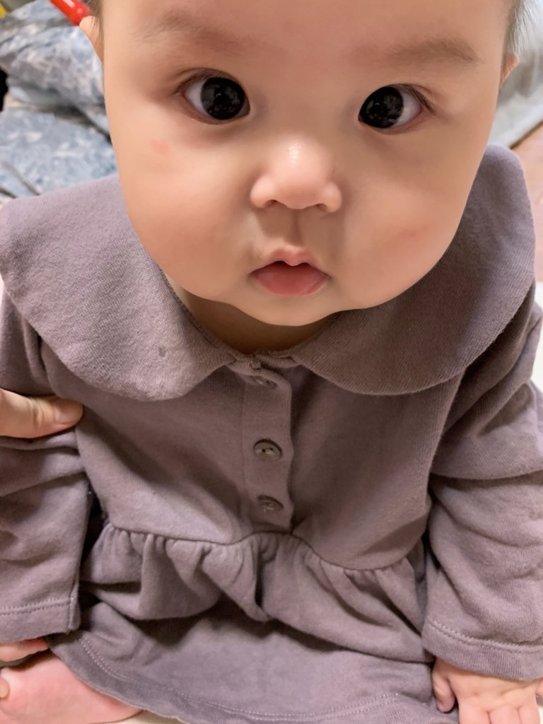 はしはし