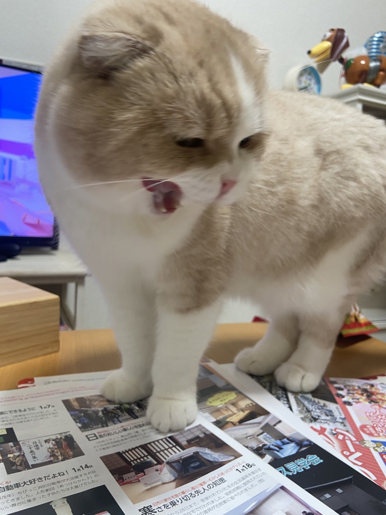 いくまる