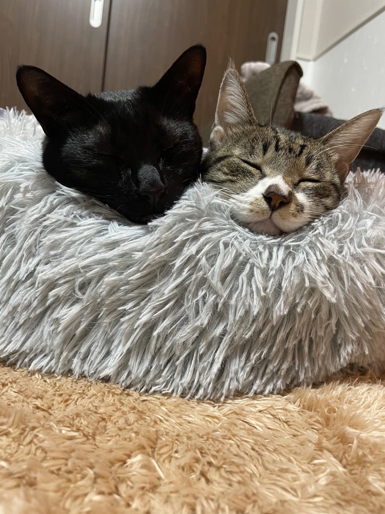 とも