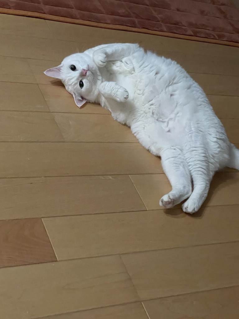 no name