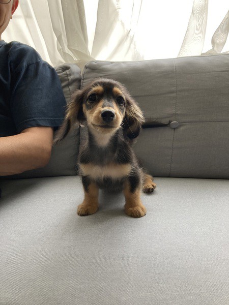 ママちゃん