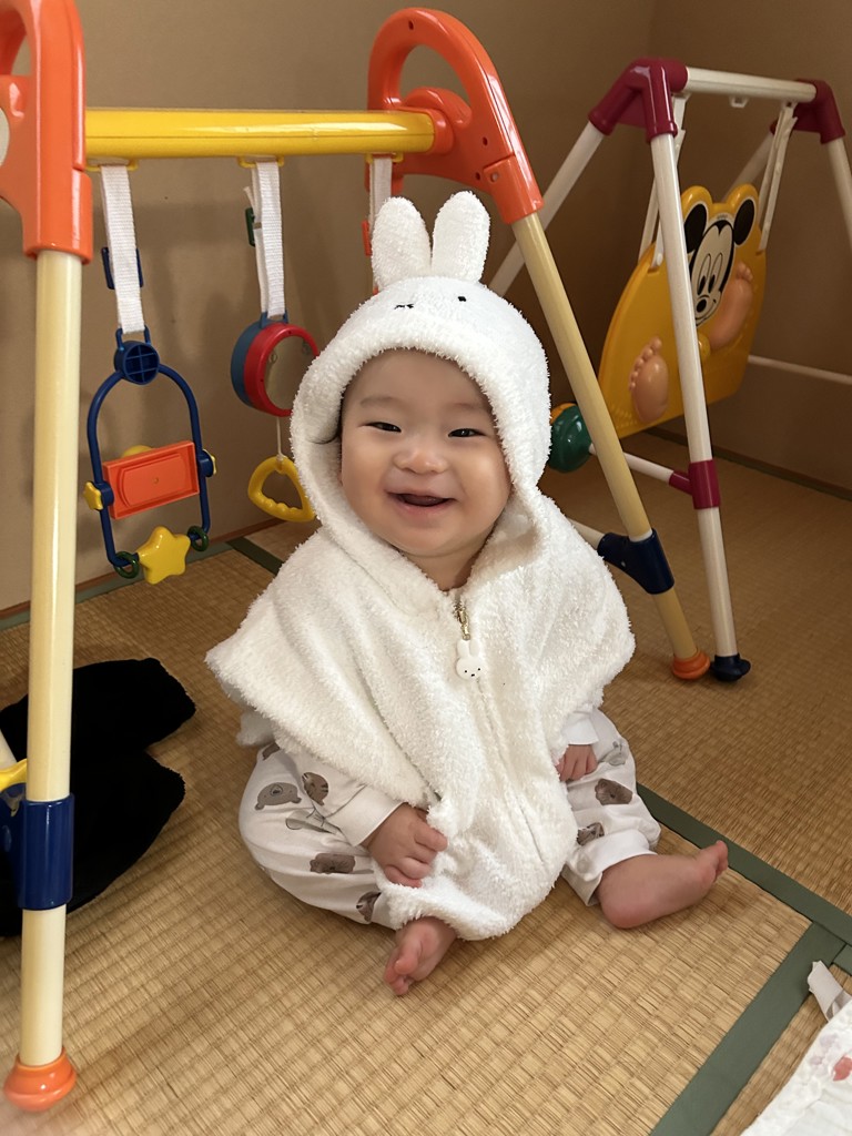 のこ