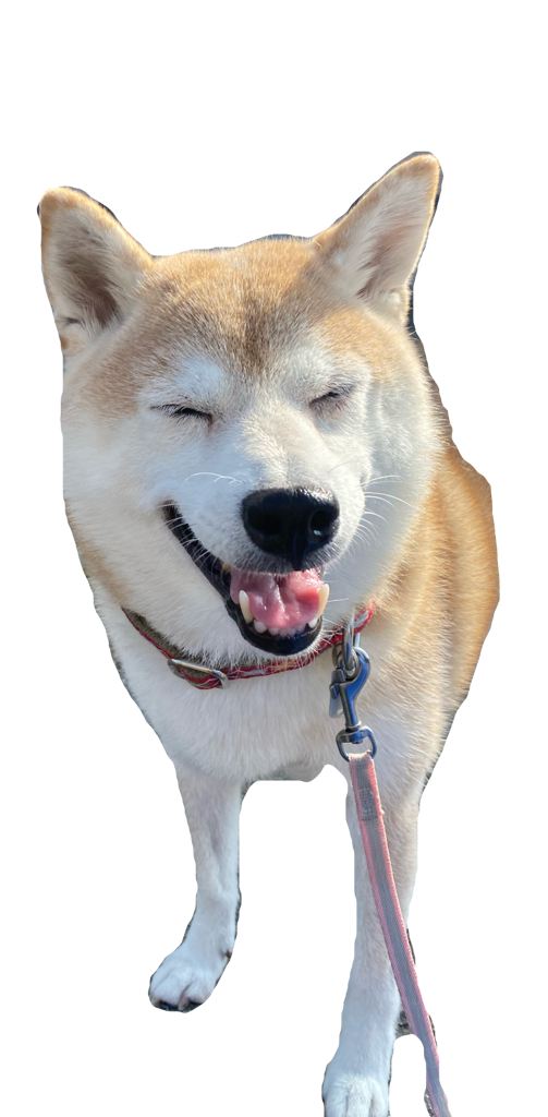 おゆちゃん