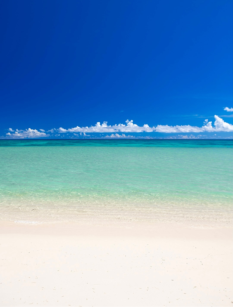 SUKALA Yogi Rug ターコイズ SUKALA】Yogi Rug(ターコイズ・ピーチスキン・ライラック