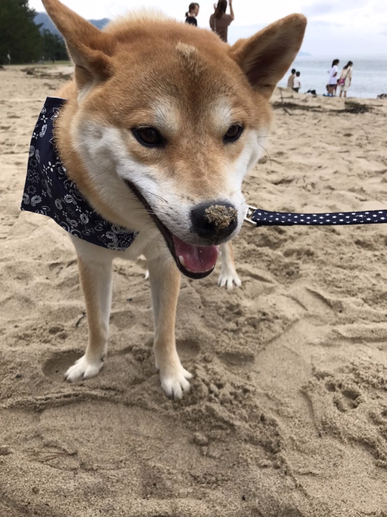 まさひろ