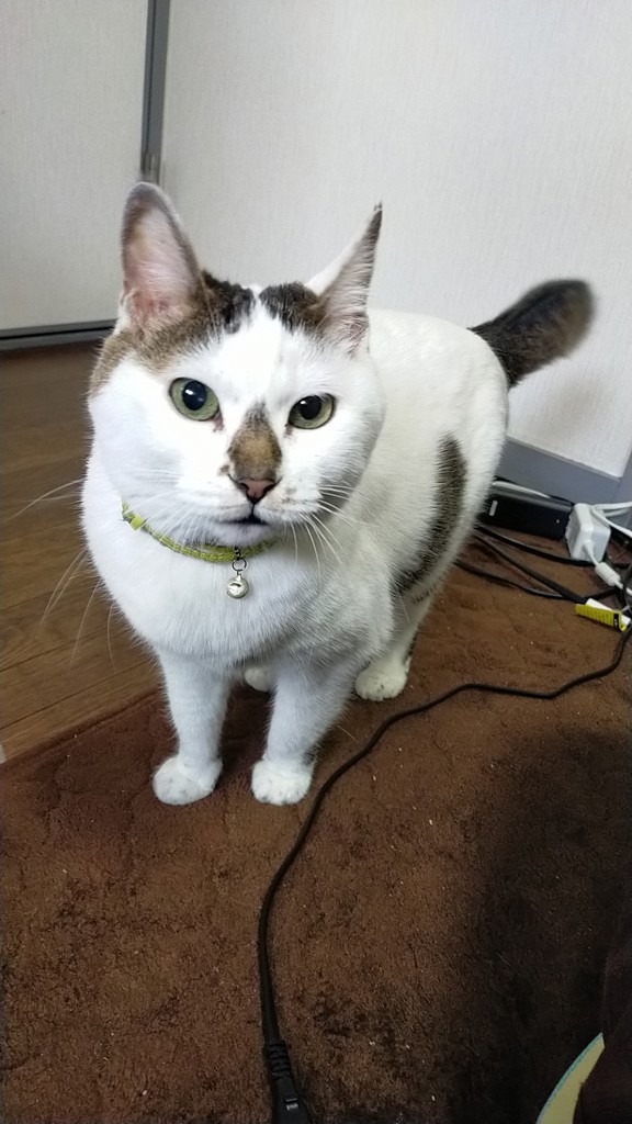 ユーザーアイコン