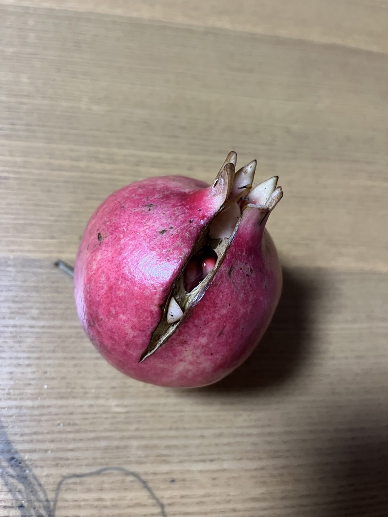 あんぱん