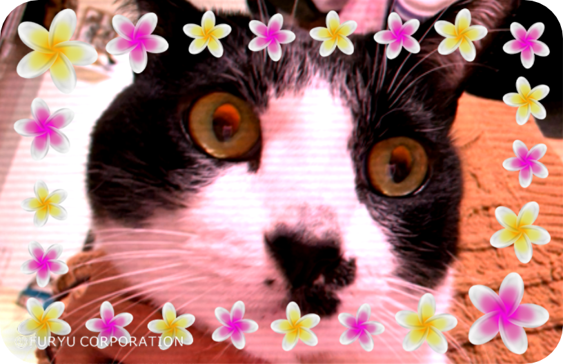 ユーザーアイコン