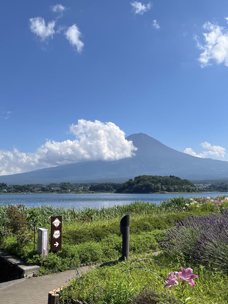 コバタケ