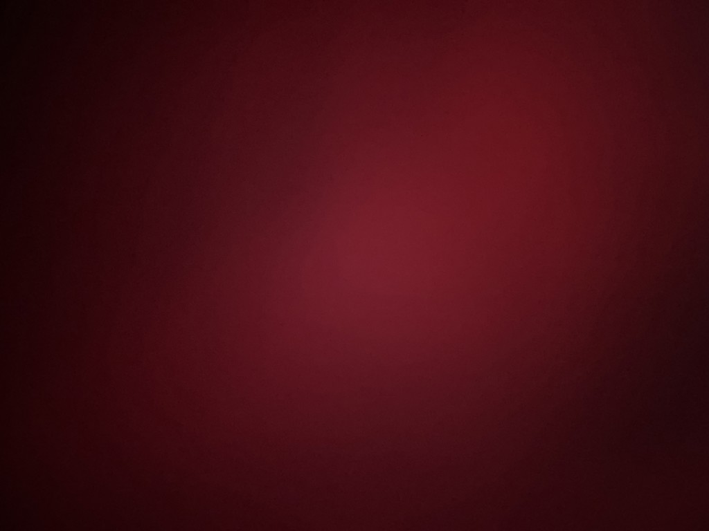ささみ