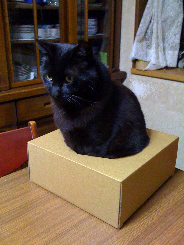 no name