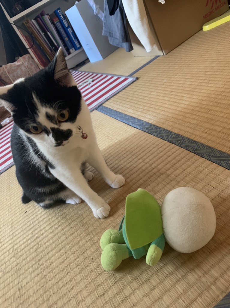 どらみ