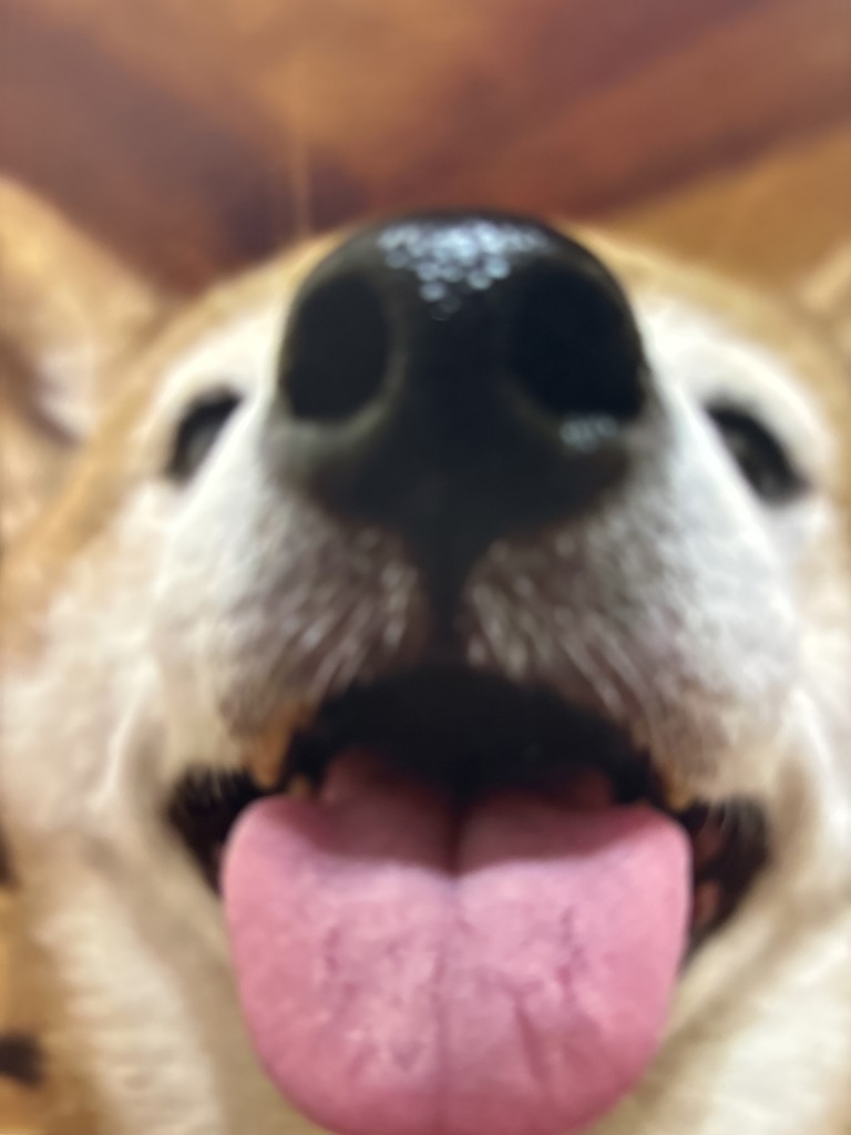 ゆきちゃん