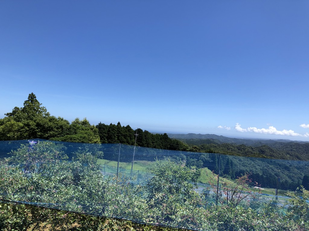 まみまみ