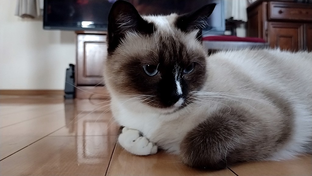 ナナ