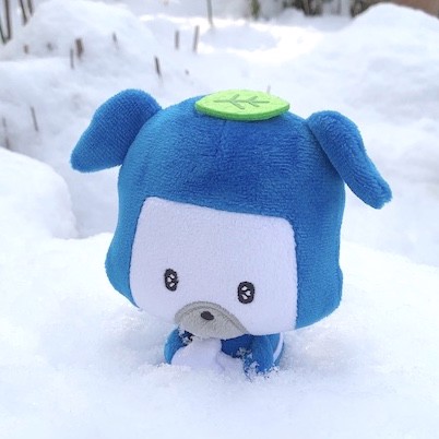 ケロちゃん