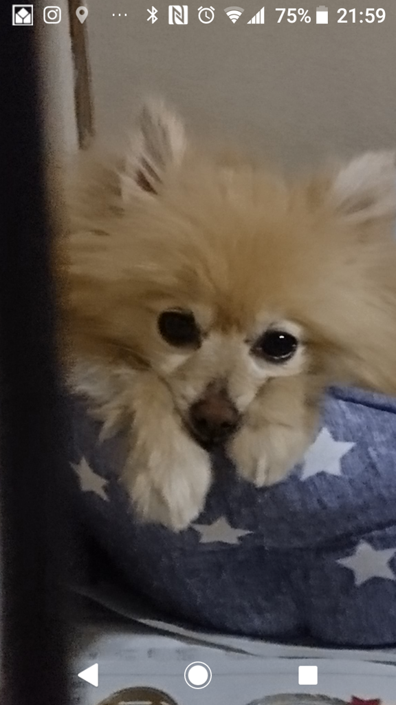 やまちゃん