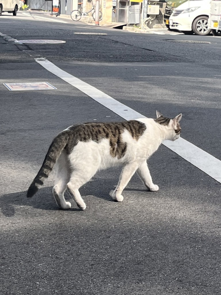 ひろ