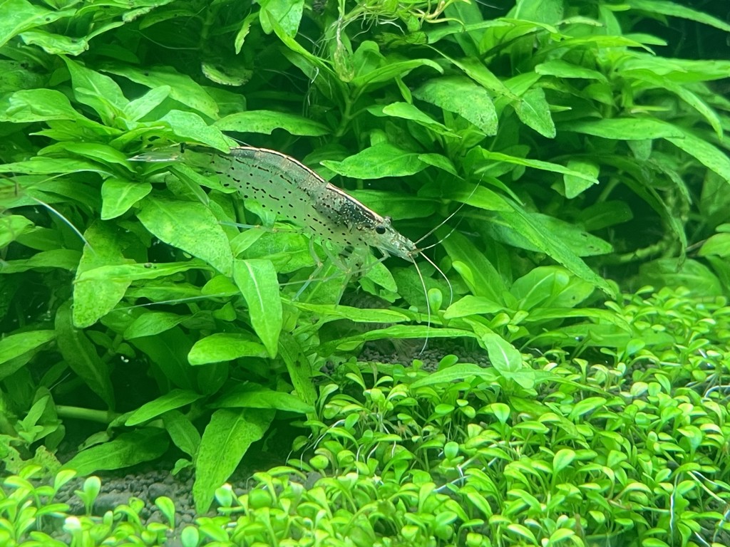 no name