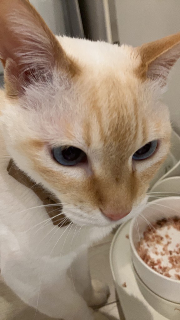 SUKALA】カバーフレアタンクトップ(Sサイズ モカベージュ・ライラック