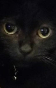 こたざぶろう