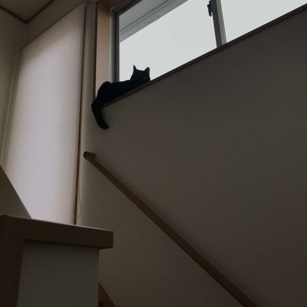 no name