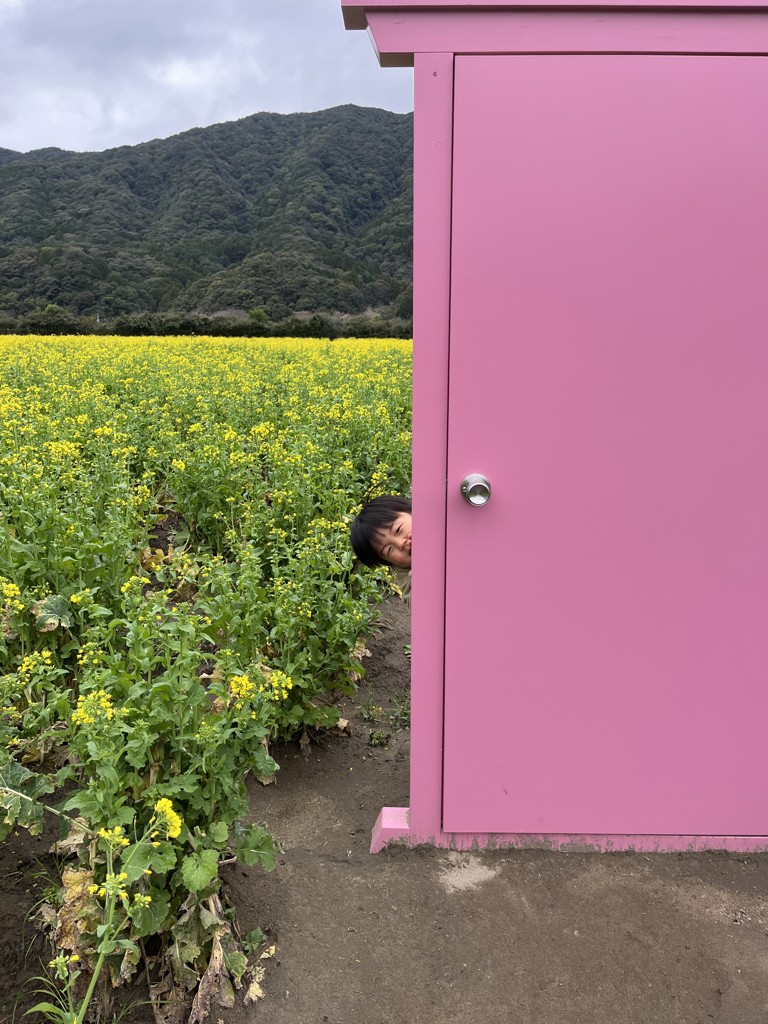 ハマナオ