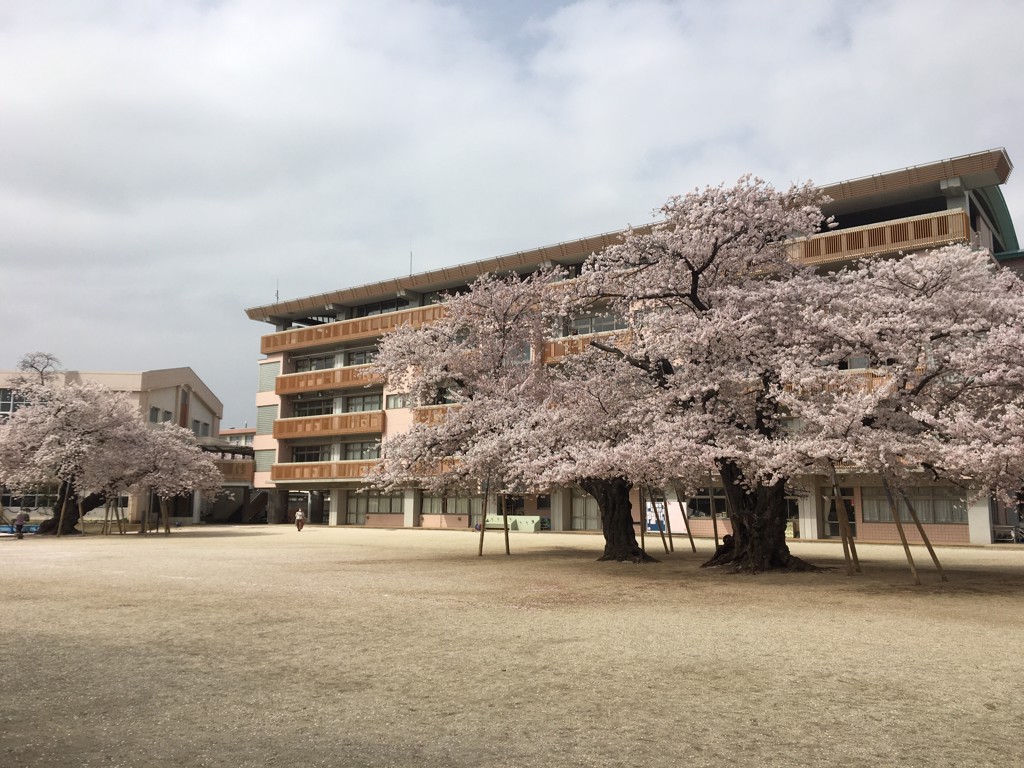 たつ