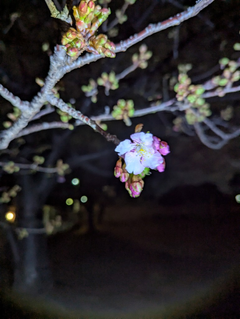 たてちぃ