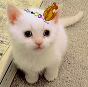ちーくん