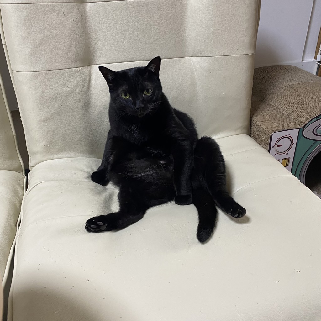 あんこりん