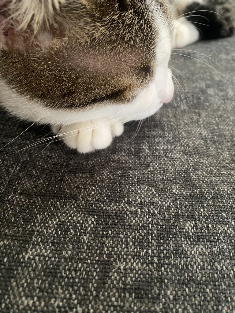 ユーザーアイコン