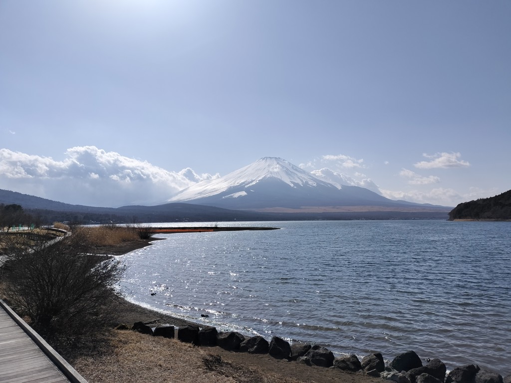 ミント