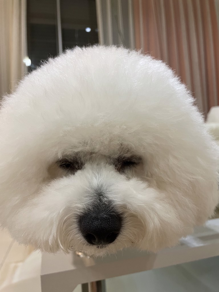みいつく