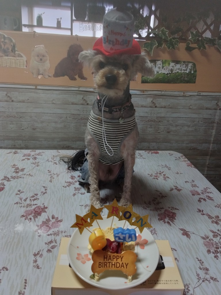 チャマ