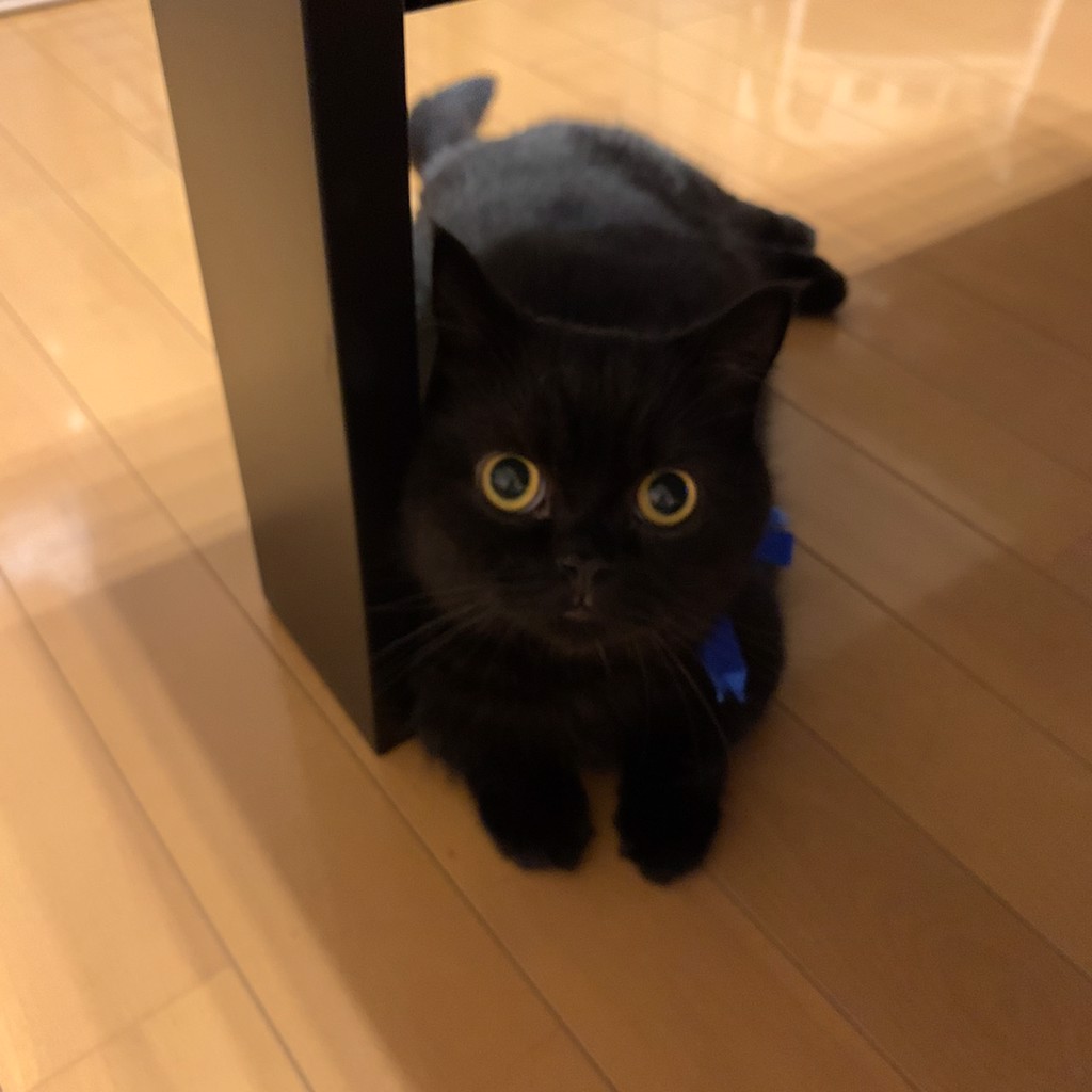 ユーザーアイコン