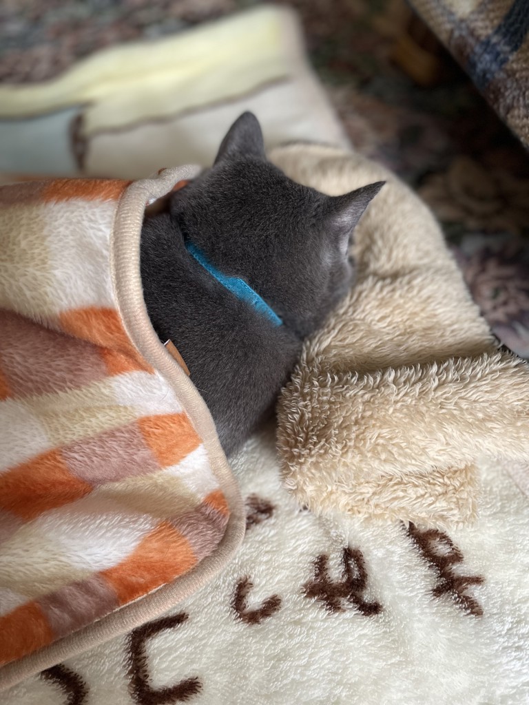 ユーザーアイコン