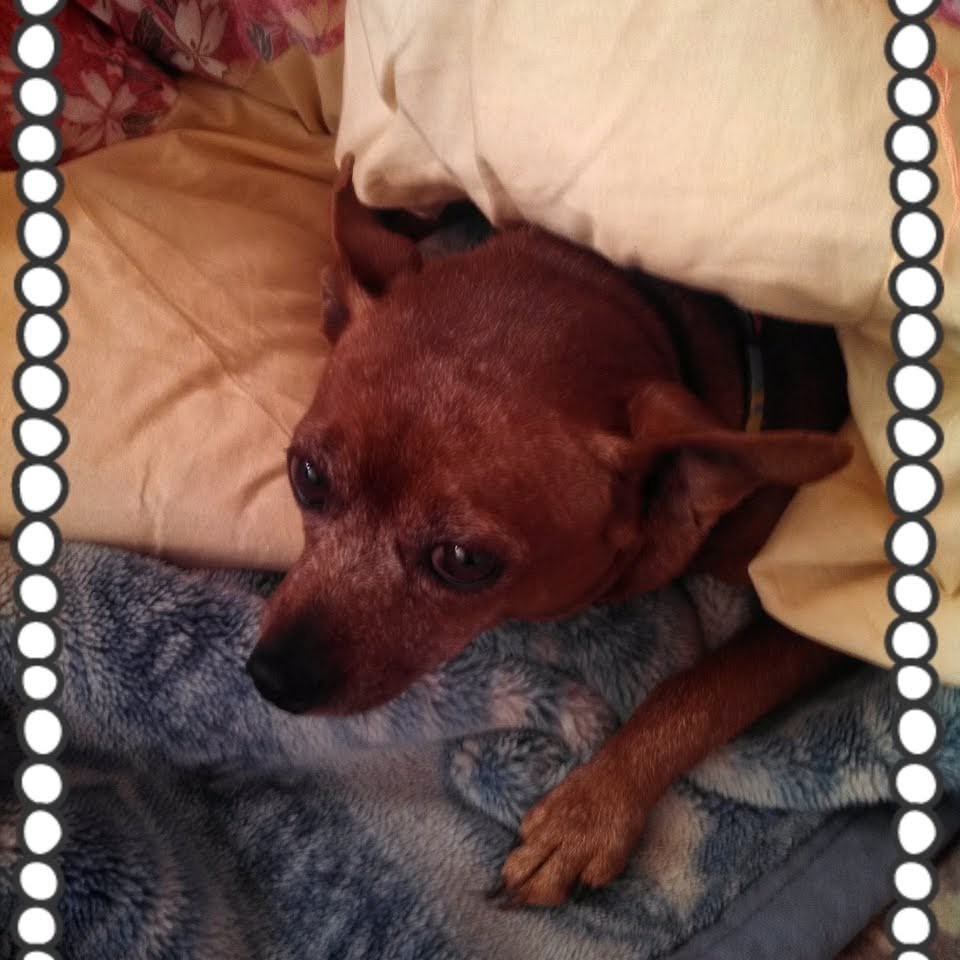 ヒロヒロちゃん